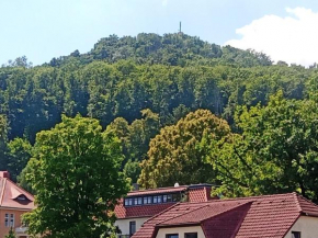 Apartment Biesnitz
